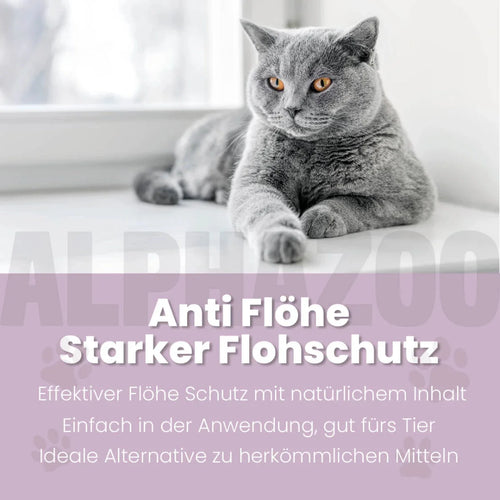 ByeByeVloh Spot-On für Katze
