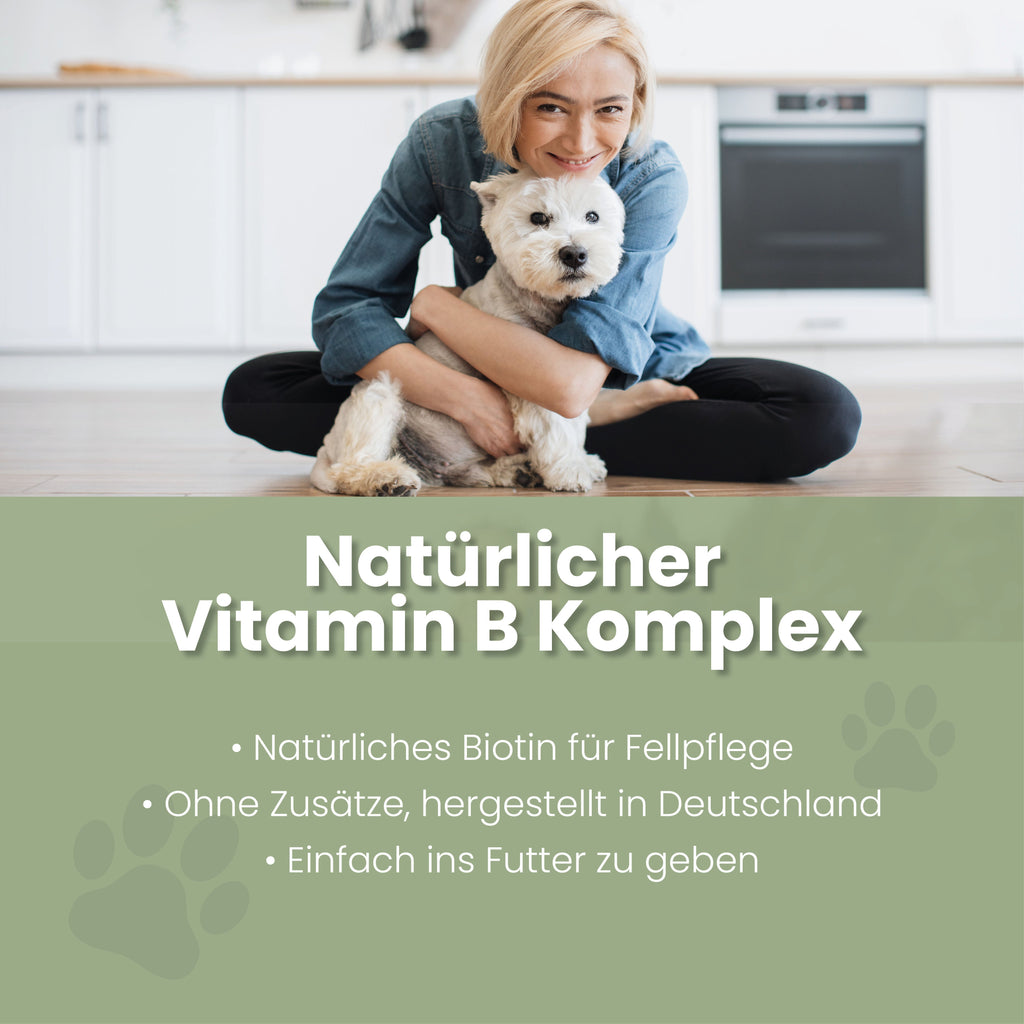 Brewer's yeast powder for dogs