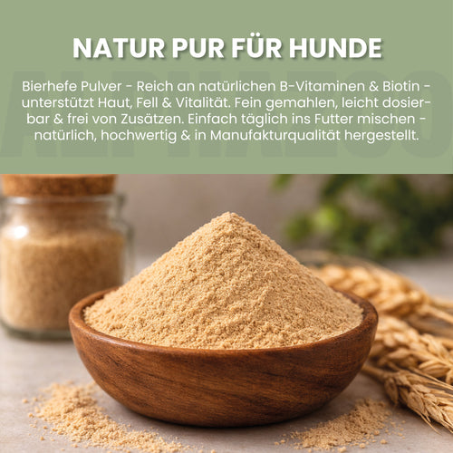 Brewer's yeast powder for dogs