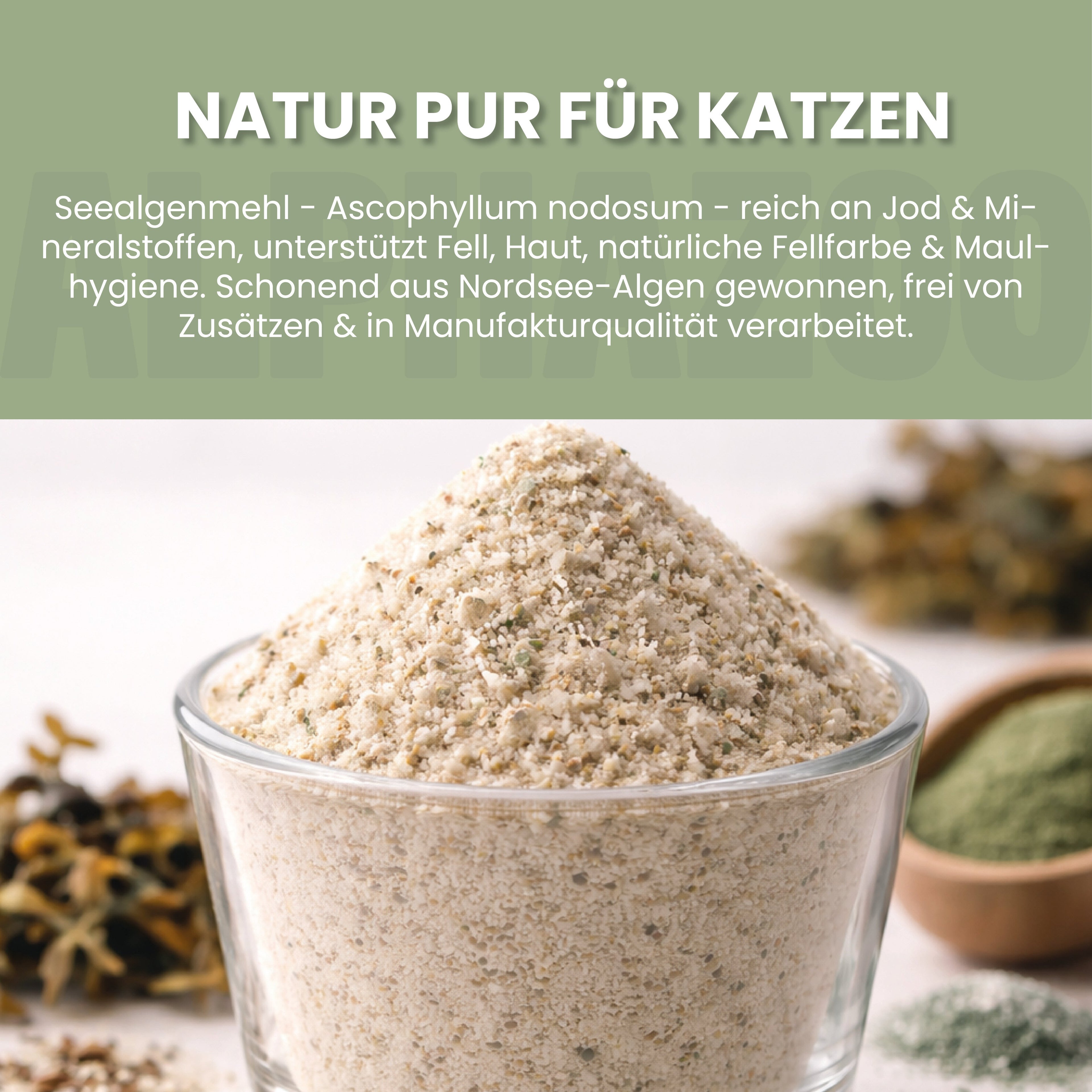 Seaweed meal for cats