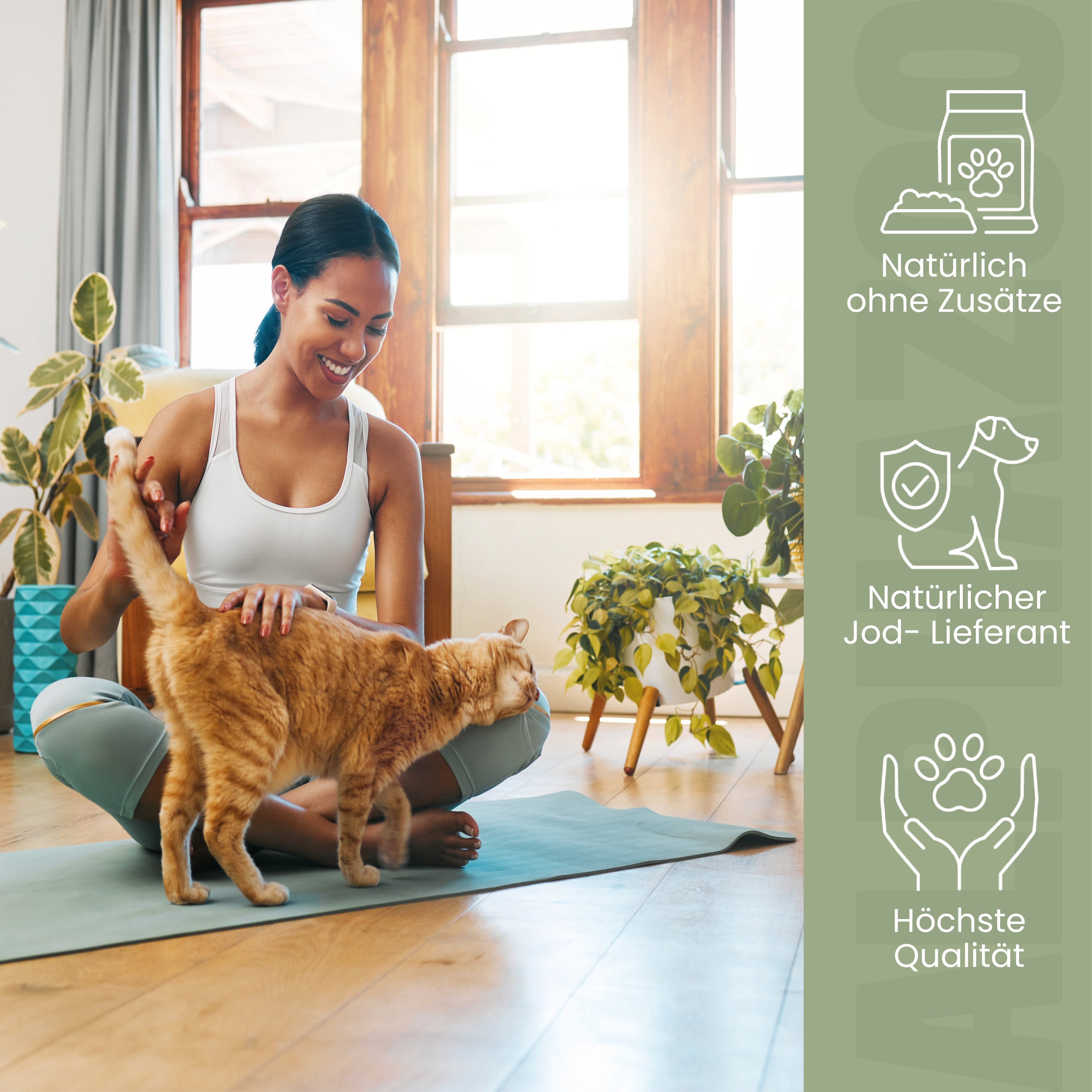 Seaweed meal for cats