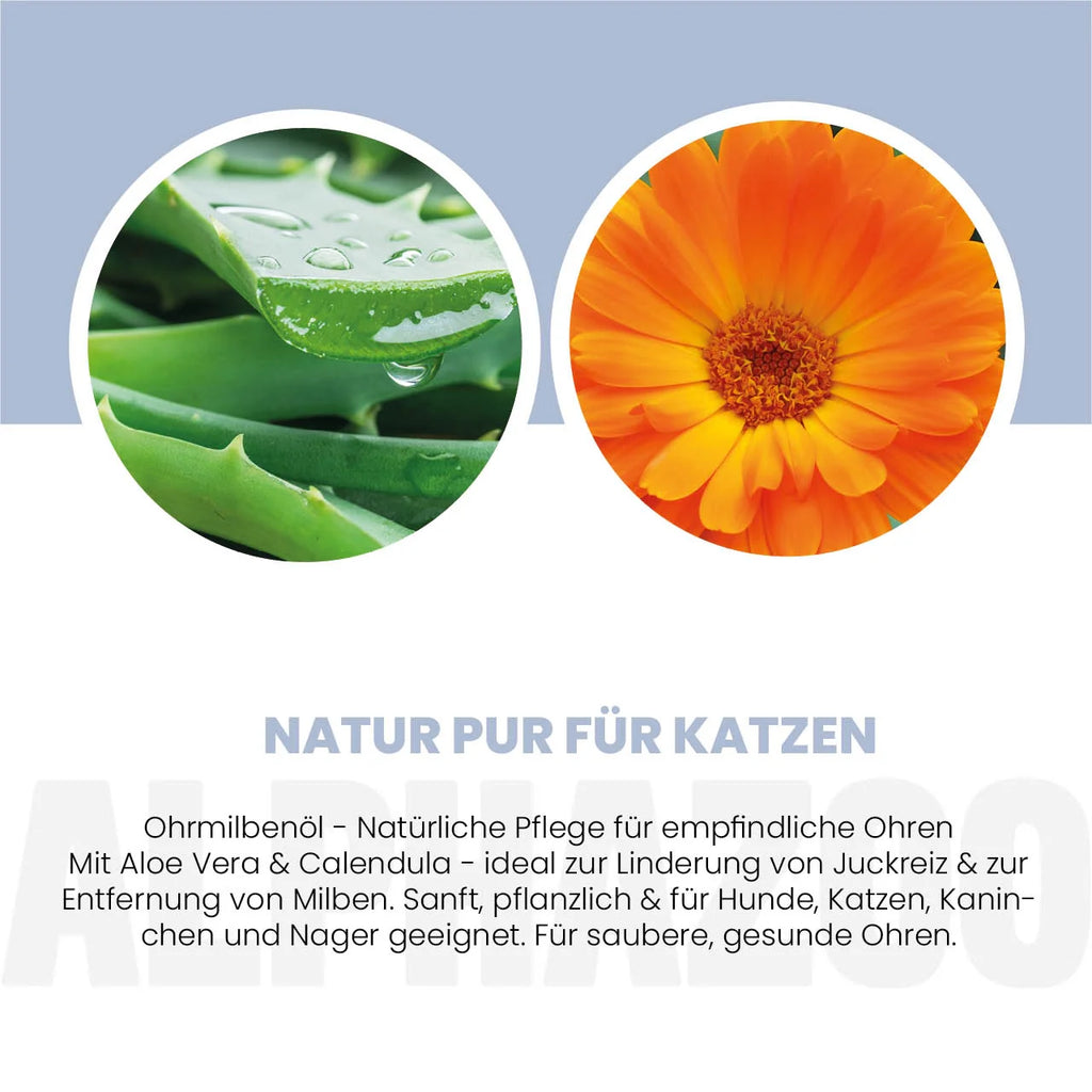 Ear mite oil for cats