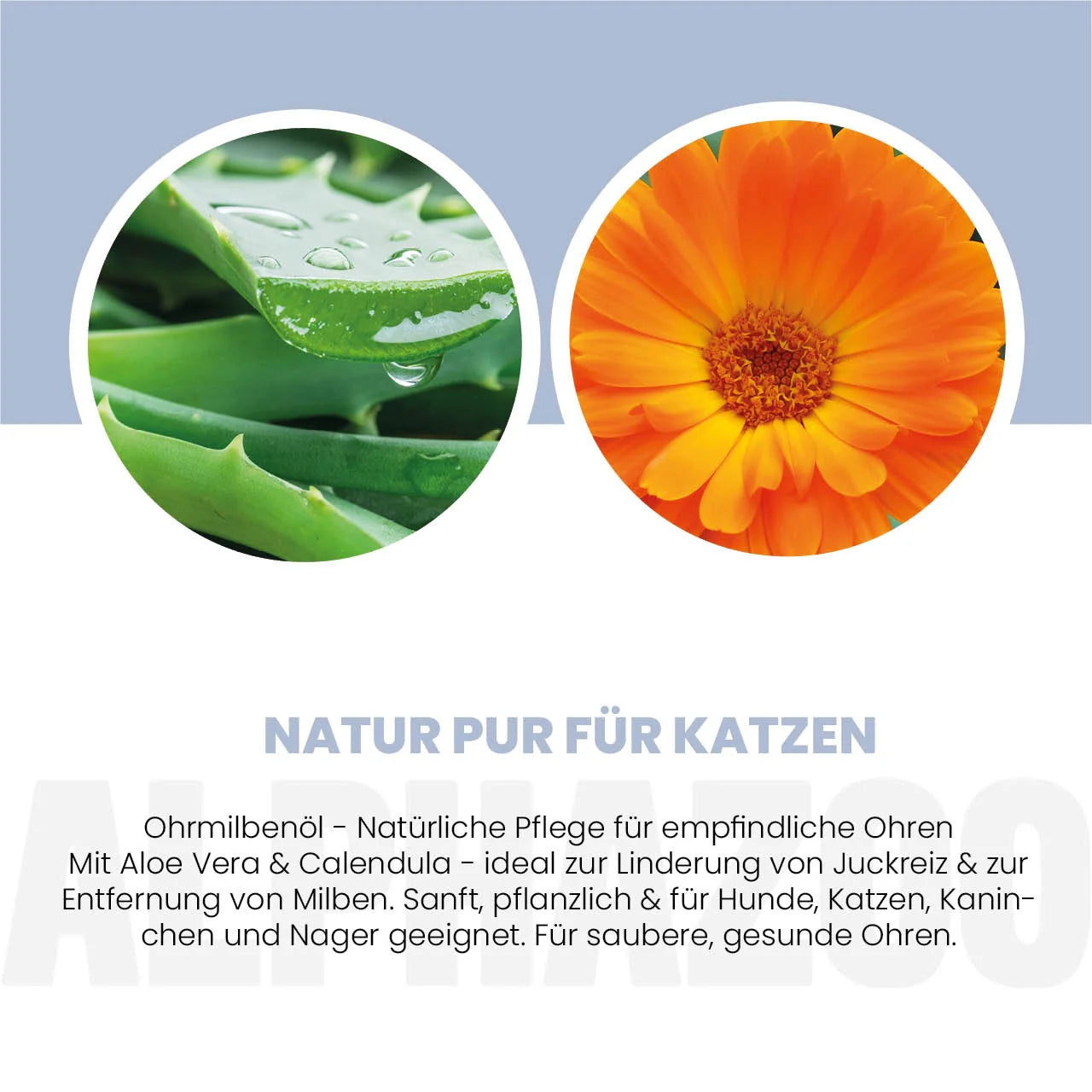 Ear mite oil for cats