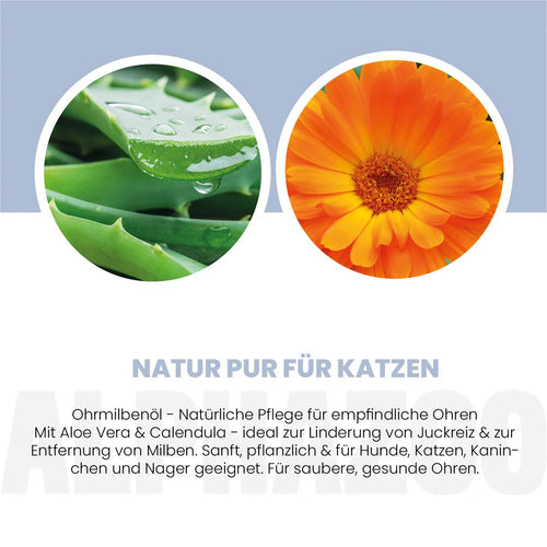 Ear mite oil for cats