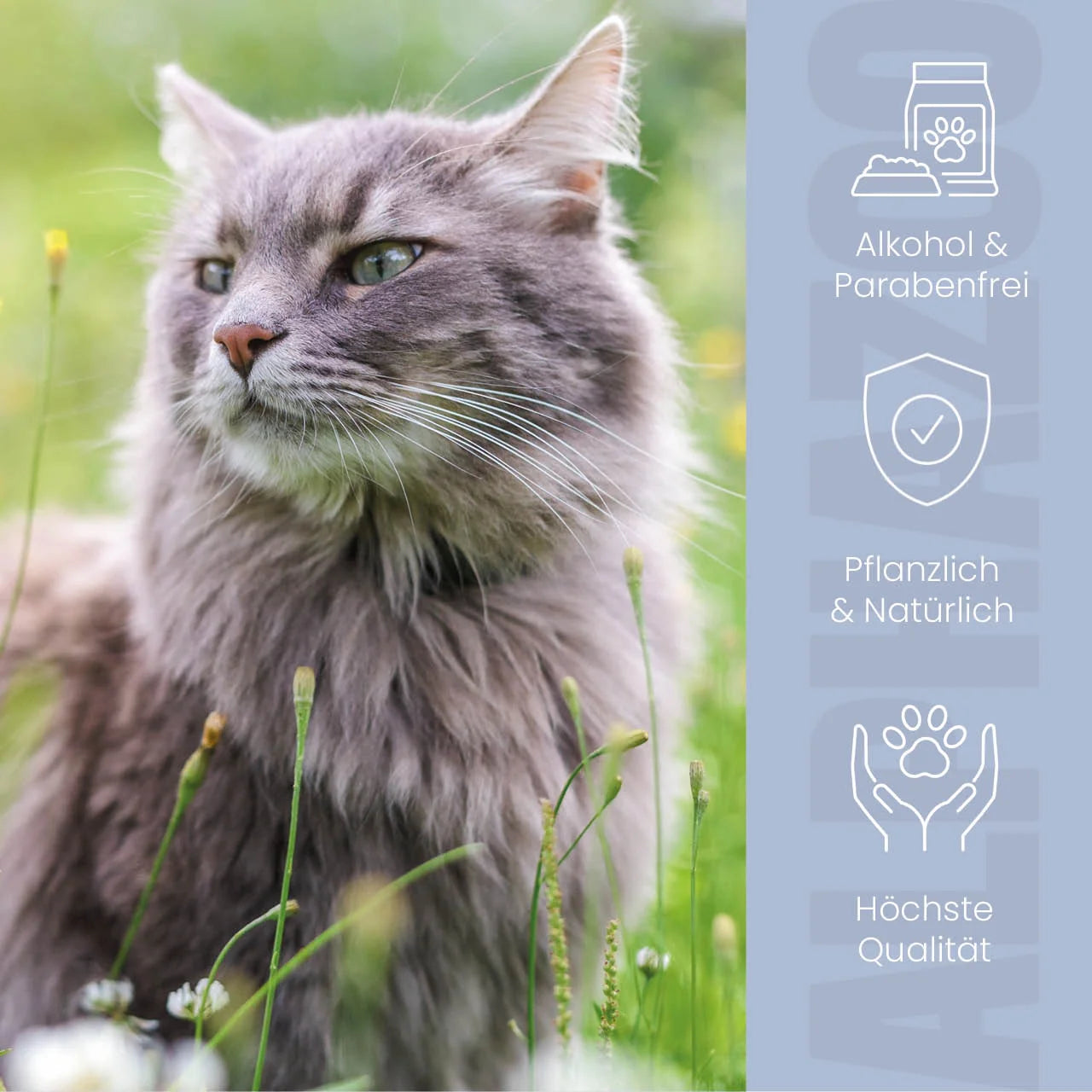 Ear mite oil for cats